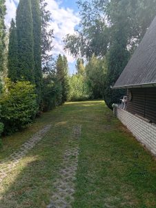 Sütögető hely a kertben
